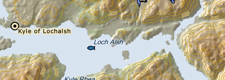 option clean coast