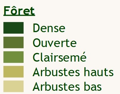 option features colors