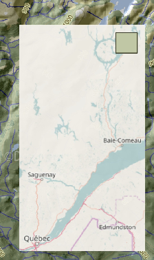 option inset map